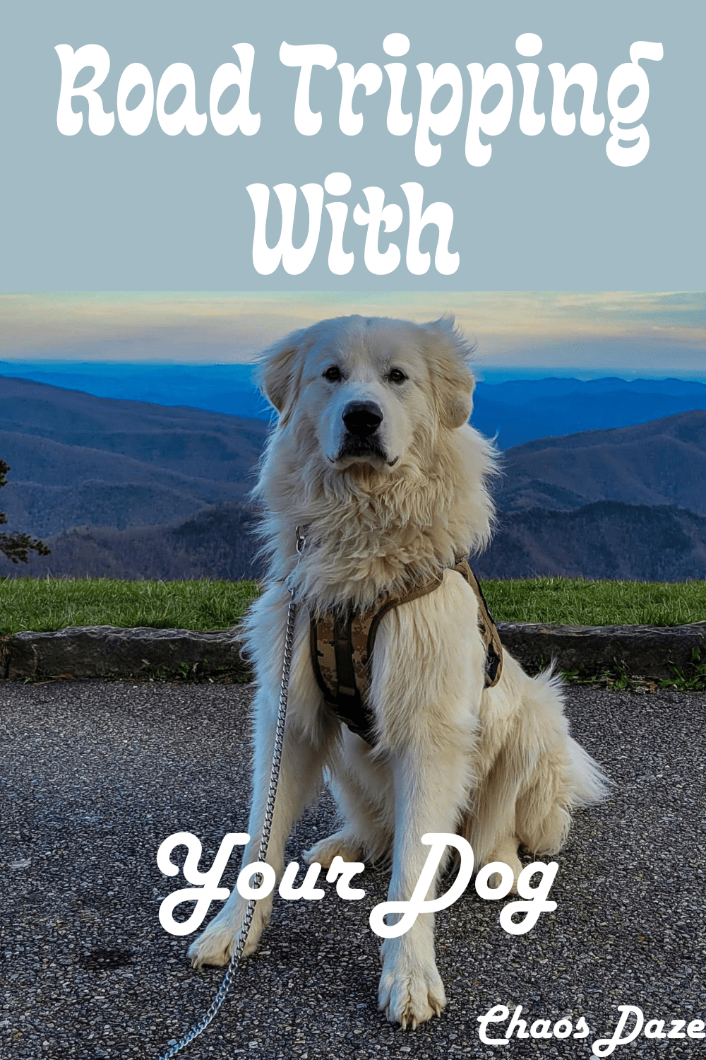 Road Tripping with Your&nbsp;Dog